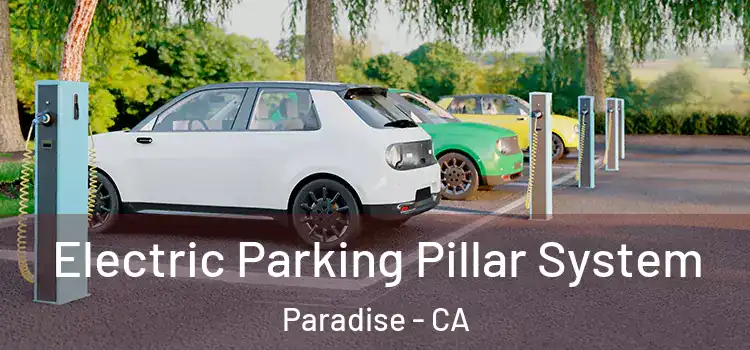 Electric Parking Pillar System Paradise - CA