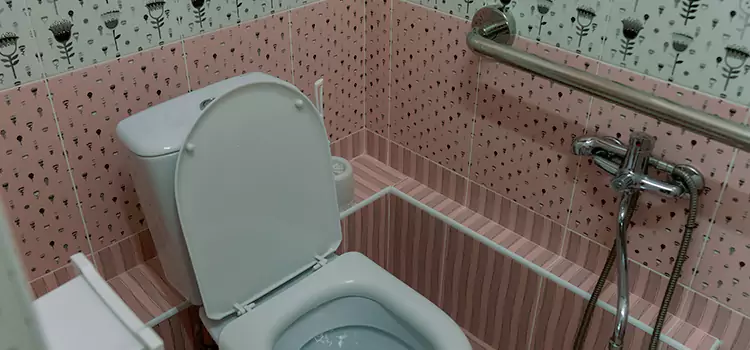 Meeting Diverse Needs With Accessible Restroom Solutions in Paradise, CA